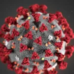 Revistas cientificas rejeitam artigo que relaciona vacinas contra a COVID