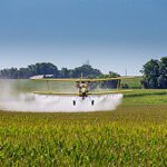 STF suspende julgamento sobre beneficios fiscais para agrotoxicos