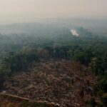 Governo quer usar Fundo Amazonia contra queimadas em Manaus