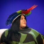 Sonia Guajajara faz apelo para manter vetos