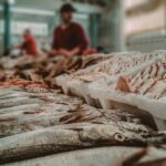Egito se abre ao mercado de pescados e derivados do