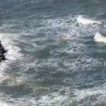 Imagens Impressionantes bombeiros salvam crianca arrastada pela correnteza do mar