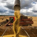 Queda sem fim Consultoria reduz estimativa de producao de soja