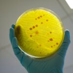 Cresomicina Novo antibiotico pode combater superbacterias