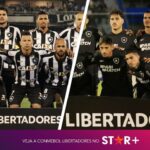 Os remanescentes do último jogo do Botafogo em casa na Libertadores