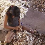 TRT 15 condena estado de Sao Paulo por fomentar trabalho infantil