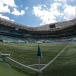 Palmeiras faz 1º teste no gramado do Allianz e marca novo treino